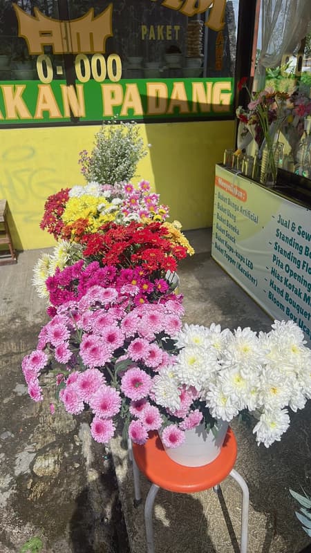 Fresh Flower